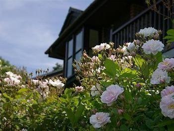 Barclay House Cottages Looe Kültér fotó